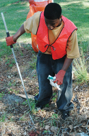 Lead Line Photo